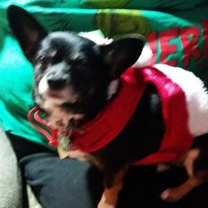 Meet your Posher, Ruth